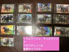 まとめ売り13枚 サラブレッドホースコレクション ツインウエハース　サイン