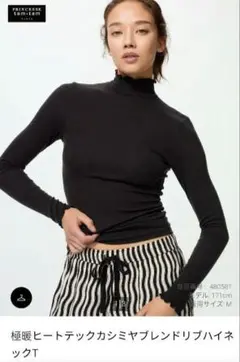 極暖ヒートテックカシミアブレンドリブハイネックT