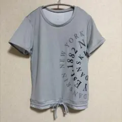 DANSKIN ダンスキン 半袖Tシャツ L グレー 速乾 ヨガ レディース美品のサムネイル