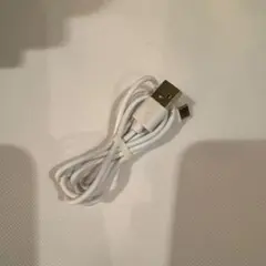 Item thumbnail for item 0c0ffdc3-15ac-44be-9f27-3cb51a3b7c9f