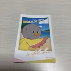 free!!　岩美　限定　来場者特典 イワトビちゃん　七瀬遙　京アニショップ