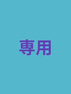 専用ページ