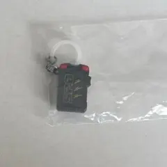 スーパー戦隊シリーズ めじるしアクセサリー マスターライセンス