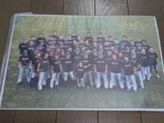 三浦大輔 記念グッズ