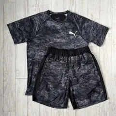 新品 ブエナビスタ 上下セット Tシャツ ハーフパンツ レオパード