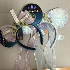 香港ディズニー　アナと雪の女王　エルサとアナ