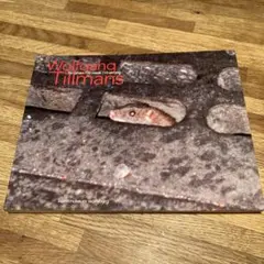 Wolfgang Tillmans ウォルフガング　ティルマンス