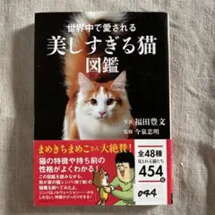 Item thumbnail for item 9ab5a938-9dad-48c9-90f9-365265a5764a