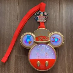 ディズニーランド　ハピネスシェアペンダント　30周年