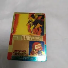テリーボーガード 餓狼伝説 カード カードダス レトロ レア 昔 希少