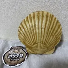 ホタテ貝 ミニポーチ