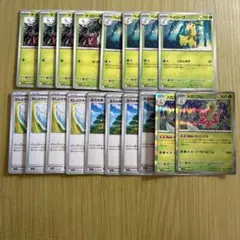 ポケモンカード むしとりセット 活力の森 各4枚 メガニウムR2枚