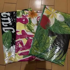 Item thumbnail for item 97205fe7-6d5f-458e-95c4-981341dd1809