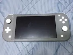 ジャンクニンテンドーSwitchLITE