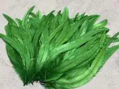 Item thumbnail for item 9775157b-411d-4c87-903d-458e5453634a