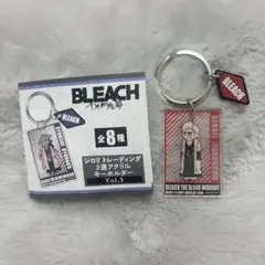 BLEACH PLAZA 千年血戦篇 ジロリ アクリルキーホルダー 六車拳西