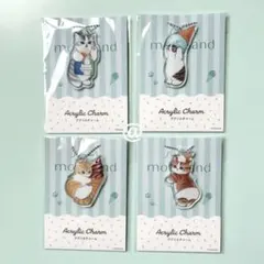 ファミマ モフサンド mofusand アクリルチャーム　全4種コンプセット