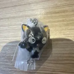 サンリオキャラクターズ カラーコレクション Black チョコキャット