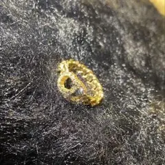 Item thumbnail for item 53bc8620-a325-43d5-8ce5-8f47b6ca4233