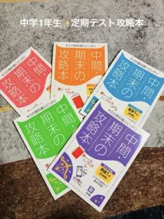 作文・小論文の名人 入門編・基礎編・実戦編 3冊フルセット 都麦出版 