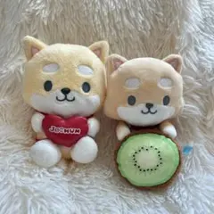 JOCHUM まめちぃ マスコット ぬいぐるみ セット