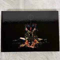 the GazettE ガゼット アルバム 初回限定 DIVISION