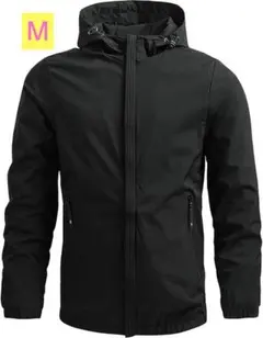 Item thumbnail for item 24370724-beb3-4215-b8b0-152fb7e2f1cc