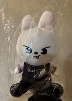 Stray kids スキズ ぬいぐるみ Leebit リービット エコパ - メルカリ
