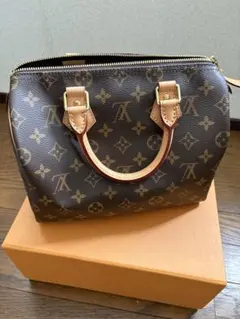 Louis Vuitton スピーディー25のサムネイル