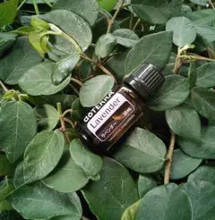 １９日（木）１５時迄 mami様 リクエスト 3点 まとめ商品