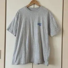 お値下げしましたSTUSSY ステューシー Tシャツ グレー 王冠