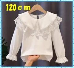 Item thumbnail for item c0db2ae8-eb51-4d49-a233-ece2b8b1576c