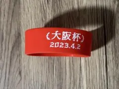 大阪杯 2023.4.2 ラバーバンド