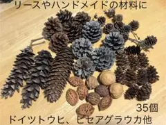 ★お値下げ★《リース・ハンドメイド材料》松ぼっくり・ナッツ類 大小35個セット