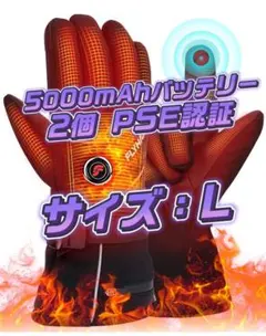 電熱手袋 電熱グローブ ヒーターグローブ テリー手袋 スキー手袋 3段階温度調節