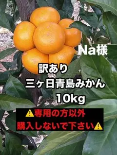★Na様★訳あり三ヶ日青島みかん 10kg