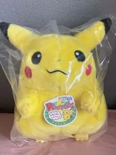 ポケモン30周年記念おかえり!ピカチュウ1/1 専用BOX付き