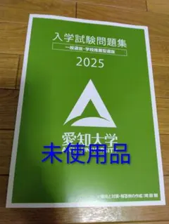 愛知大学 愛知大学短期大学部 入学試験問題集 2025 未使用品 過去問