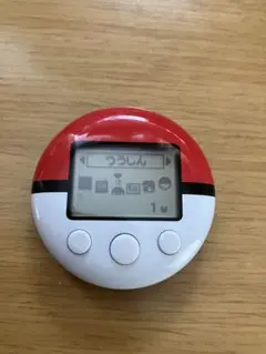ポケウォーカー ポケモン ハートゴールド ソウルシルバー Nintendo DS