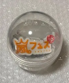 嵐 　歴代ライブロゴマグネット アラフェス カプセル DE ARASHI フェス