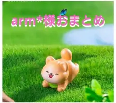 arm*様おまとめ