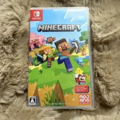 Minecraft Nintendo Switch版