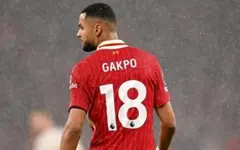 Liverpool FC Cody Gakpo 18