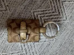 Item thumbnail for item 1dedcdb4-b360-45bb-ac90-6010fc685324