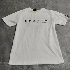 Item thumbnail for item 8ffbda9e-442b-4771-a363-77d140ee99e9