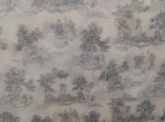 ライチュウ　プロフ必読様　専用