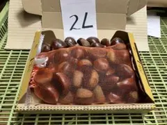 えりっこ様専用出品　生栗 2L 1キロ コンパクトbox発送