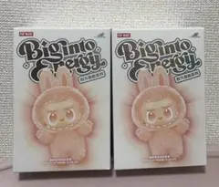 らぶぶ 未開封 2025年最新】popMart labubu マカロン ぬいぐるみ 新品未開封の