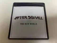 AFTER SQUALL - THE NEW WORLD