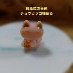 2026年最新】チョウピラコ様の人気アイテム - メルカリ